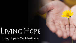 Advent Day 7: Hope for Our Inheritance
